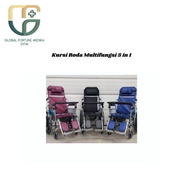 Kursi Roda Multifungsi 5 in 1